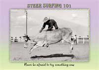 Steer Surfing